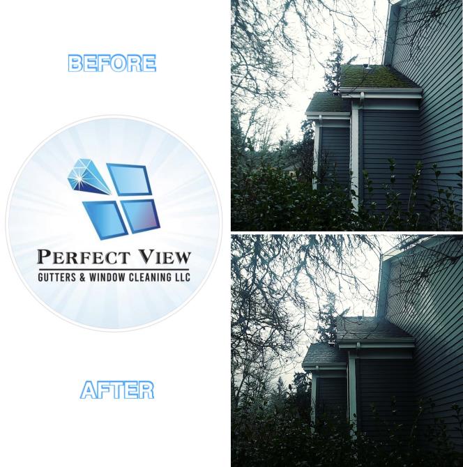 Perfect View Gutters & Window Cleaning LLC: Service Image-16 Perfect View Gutters & Window Cleaning LLC: Service Image-16