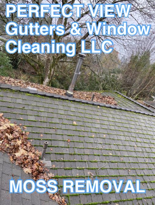 Perfect View Gutters & Window Cleaning LLC: Service Image-17 Perfect View Gutters & Window Cleaning LLC: Service Image-17