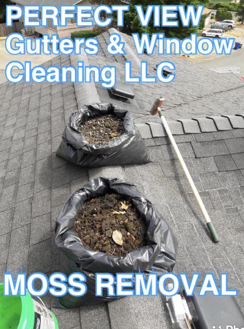 Perfect View Gutters & Window Cleaning LLC: Service Image-19 Perfect View Gutters & Window Cleaning LLC: Service Image-19